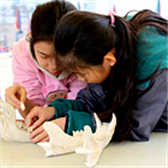 Education and Extension Activities